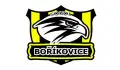 Sokol Boříkovice