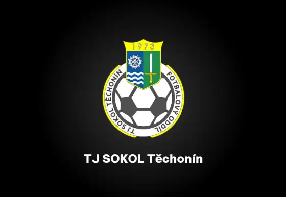 TJ Sokol Těchonín : TJ Sokol Dolní Třešňovec 1:4 (1:1)